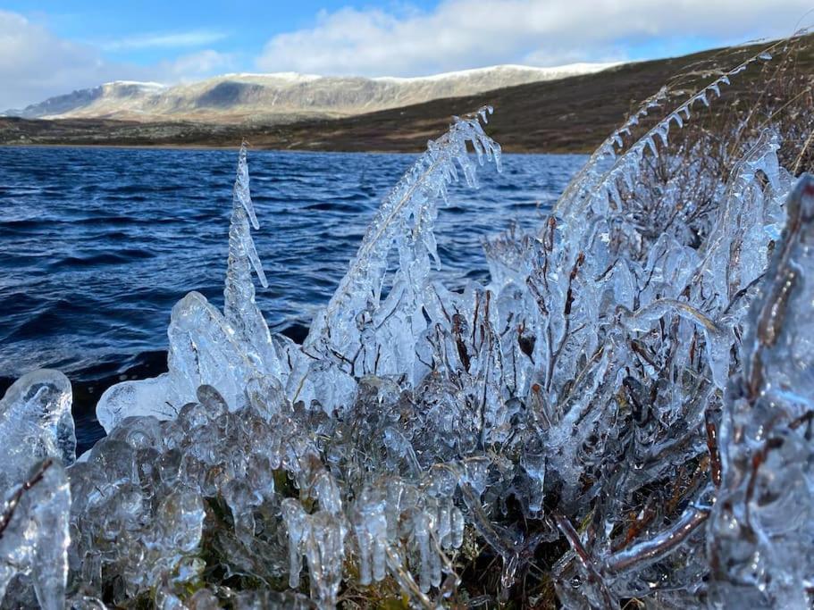 Delikat Hytte Omgitt Av Hallingdals Vakre Fjell Al Exterior photo