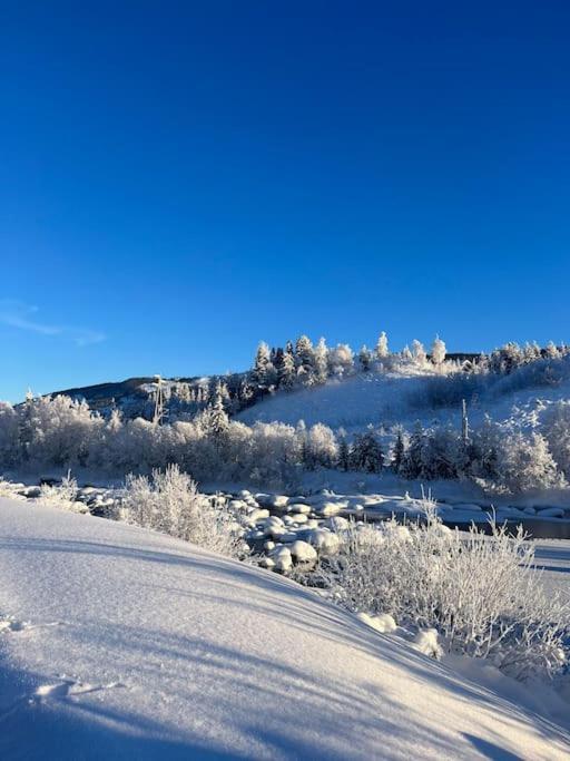 Delikat Hytte Omgitt Av Hallingdals Vakre Fjell Al Exterior photo